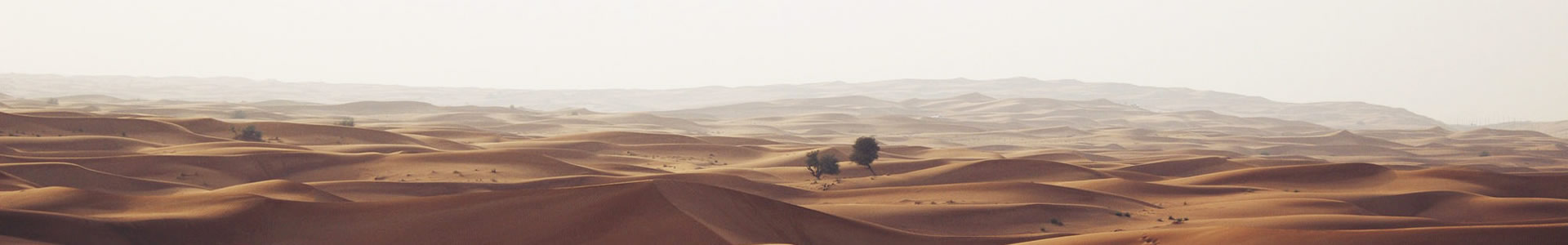 غѶҼģ޹˾